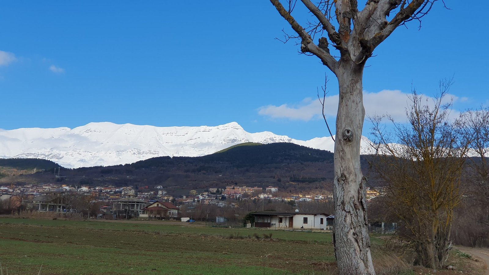 Allevamento Cane Corso Paganica