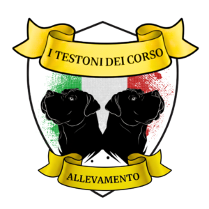 Logo I Testoni dei Corso